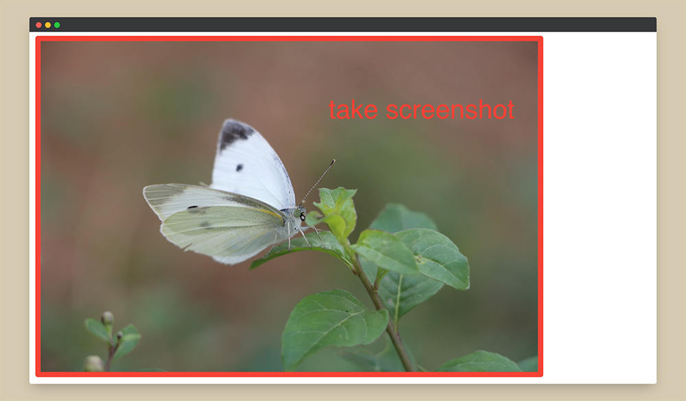 Take screenshots - get the image