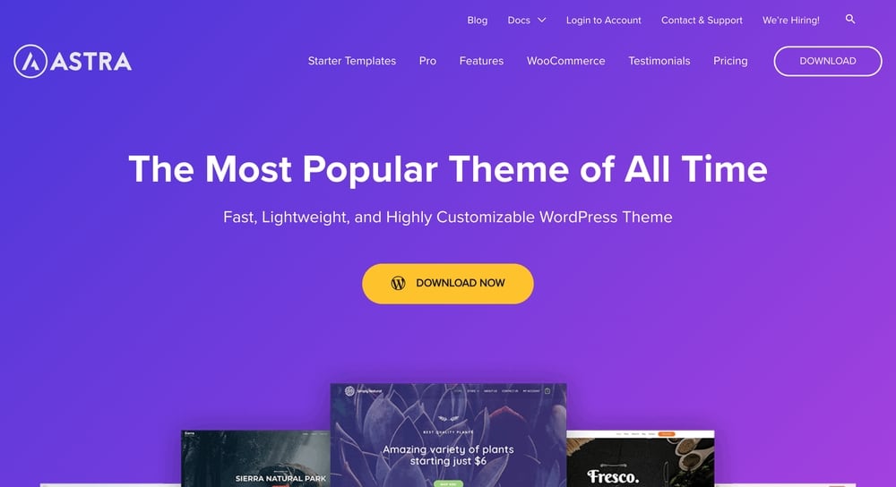 Best Free WordPress Themes - astra themes